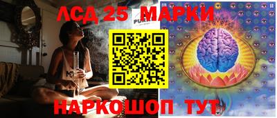 спиды Сланцы
