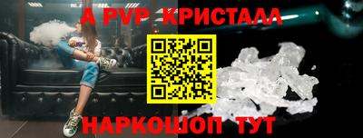 спиды Сланцы