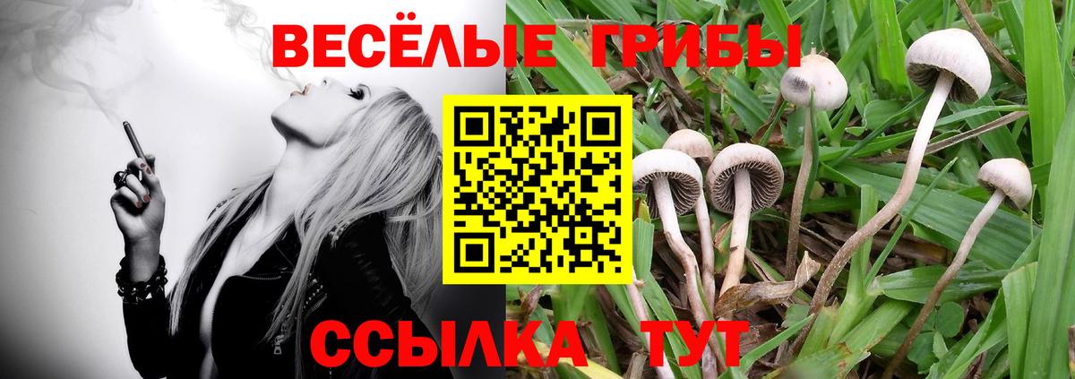 Луга  Галлюциногенные грибы Psilocybe  Галлюциногенные грибы MAGIC MUSHROOMS  Вход с VPN 
